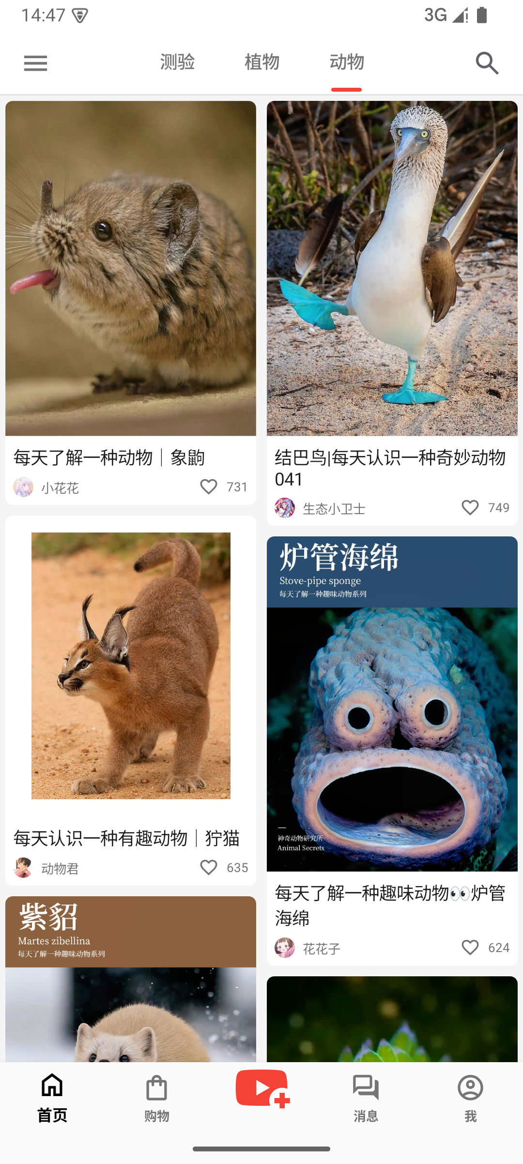 动物首页截图