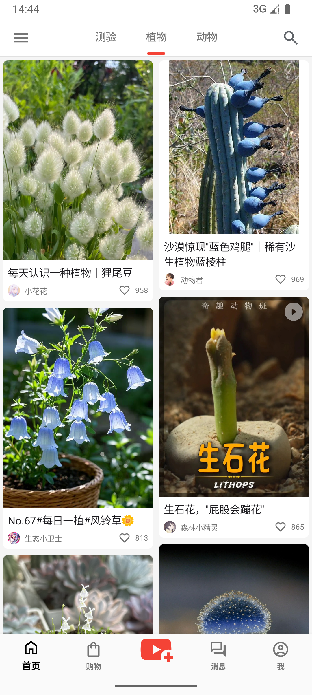 植物首页截图